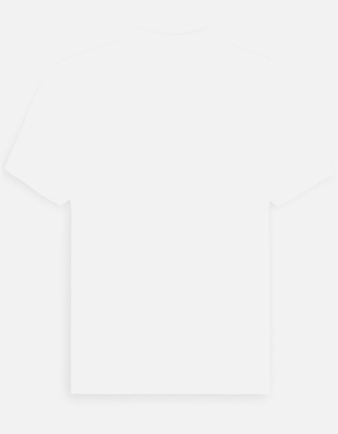 Back_3_c_4.jpg